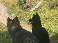 Shani und Gitan